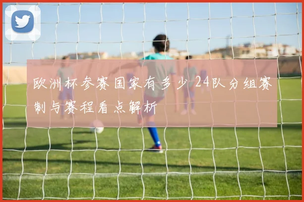 欧洲杯参赛国家有多少 24队分组赛制与赛程看点解析