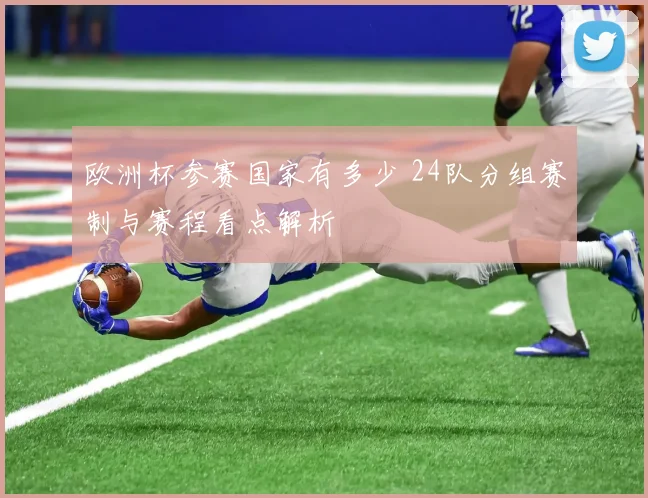 欧洲杯参赛国家有多少 24队分组赛制与赛程看点解析
